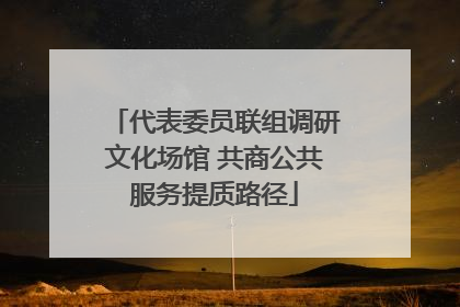 代表委员联组调研文化场馆 共商公共服务提质路径