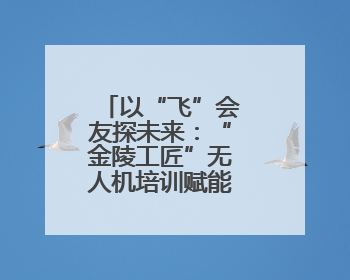 以“飞”会友探未来：“金陵工匠”无人机培训赋能就业新方向