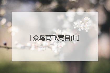 众鸟高飞竞自由