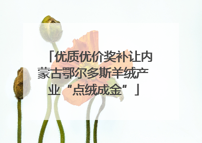 优质优价奖补让内蒙古鄂尔多斯羊绒产业“点绒成金”