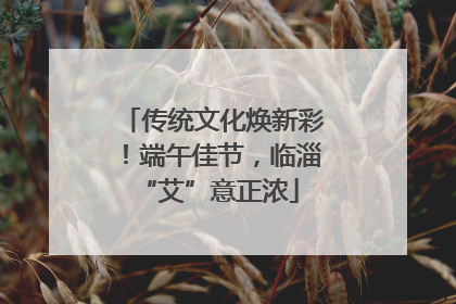 传统文化焕新彩！端午佳节，临淄 “艾”意正浓