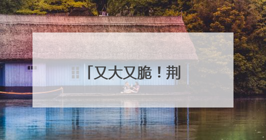 又大又脆！荆州这里的夏桃主打一个甜美！