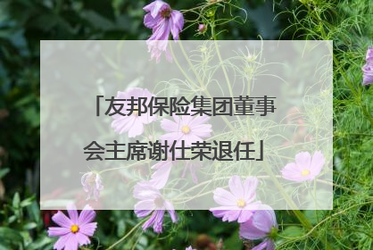 友邦保险集团董事会主席谢仕荣退任