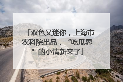双色又迷你，上海市农科院出品，“吃瓜界”的小清新来了