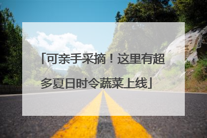 可亲手采摘！这里有超多夏日时令蔬菜上线