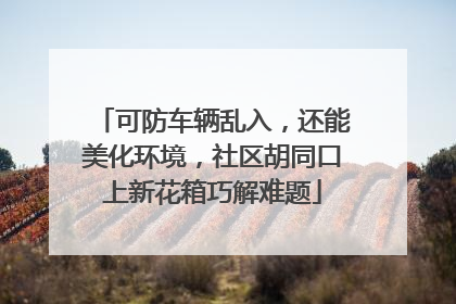 可防车辆乱入，还能美化环境，社区胡同口上新花箱巧解难题