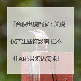台积电魏哲家：关税仅产生些许影响 拦不住AI芯片炽热需求