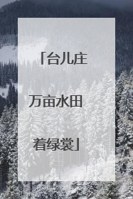 台儿庄万亩水田着绿裳