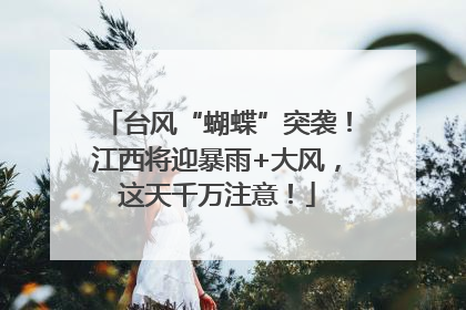 台风“蝴蝶”突袭！江西将迎暴雨+大风，这天千万注意！