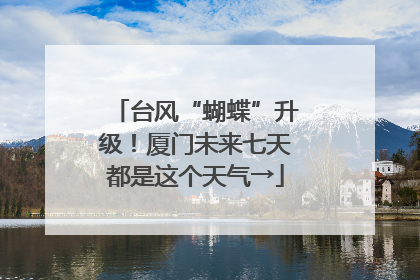 台风“蝴蝶”升级！厦门未来七天都是这个天气→