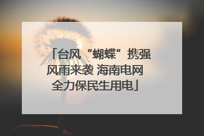 台风“蝴蝶”携强风雨来袭 海南电网全力保民生用电