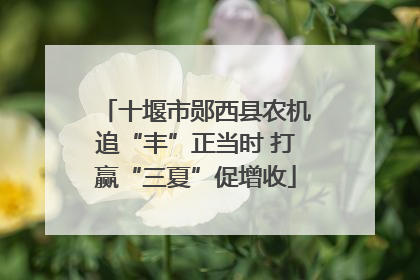 十堰市郧西县农机追“丰”正当时 打赢“三夏”促增收