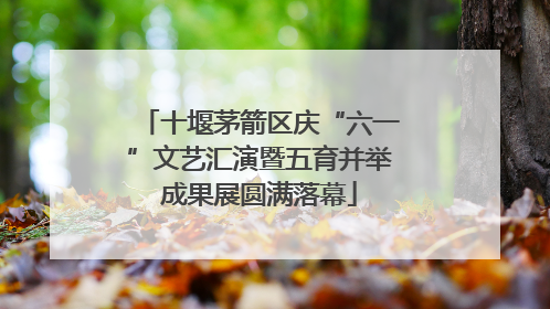 十堰茅箭区庆“六一”文艺汇演暨五育并举成果展圆满落幕