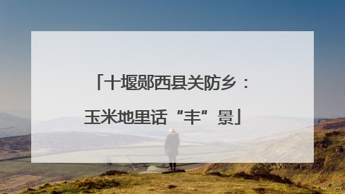 十堰郧西县关防乡：玉米地里话“丰”景