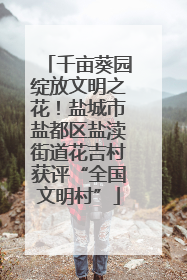 千亩葵园绽放文明之花！盐城市盐都区盐渎街道花吉村获评“全国文明村”