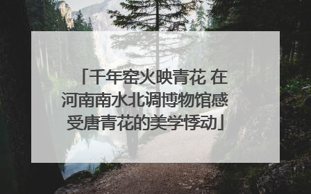 千年窑火映青花 在河南南水北调博物馆感受唐青花的美学悸动