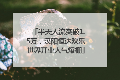 半天人流突破1.5万，汉阳恒达欢乐世界开业人气爆棚