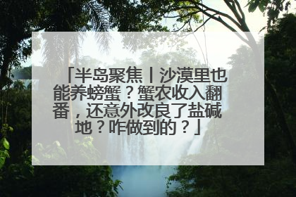 半岛聚焦丨沙漠里也能养螃蟹？蟹农收入翻番，还意外改良了盐碱地？咋做到的？