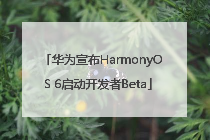 华为宣布HarmonyOS 6启动开发者Beta