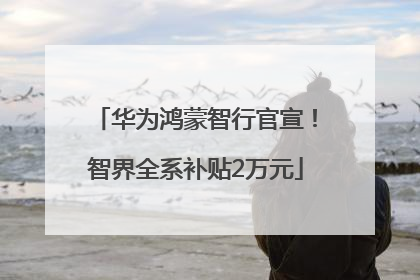 华为鸿蒙智行官宣！智界全系补贴2万元