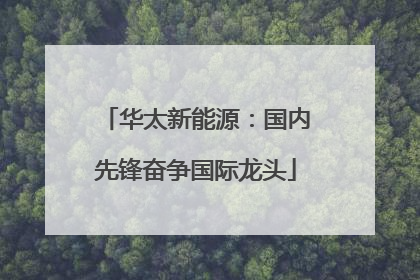 华太新能源：国内先锋奋争国际龙头