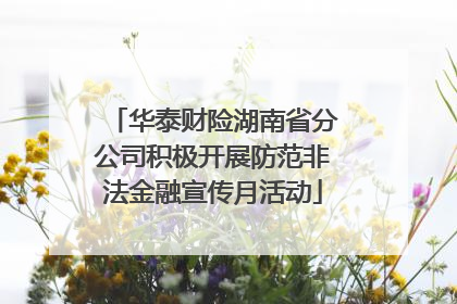 华泰财险湖南省分公司积极开展防范非法金融宣传月活动