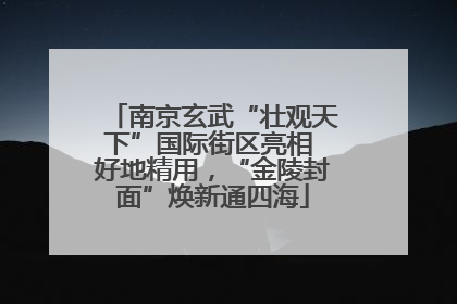 南京玄武“壮观天下”国际街区亮相 好地精用，“金陵封面”焕新通四海