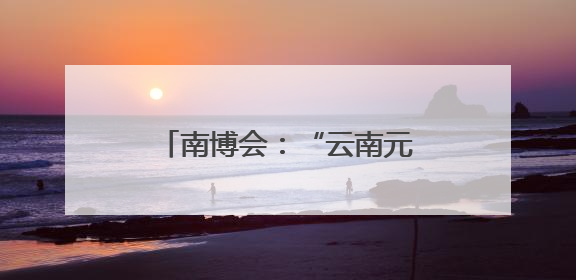 南博会：“云南元素”文创吸睛 众多产品热销海内外