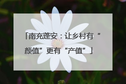 南充蓬安：让乡村有“颜值”更有“产值”