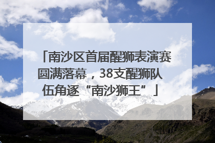 南沙区首届醒狮表演赛圆满落幕，38支醒狮队伍角逐“南沙狮王”