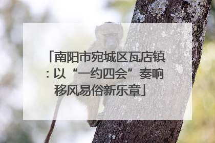 南阳市宛城区瓦店镇：以“一约四会”奏响移风易俗新乐章