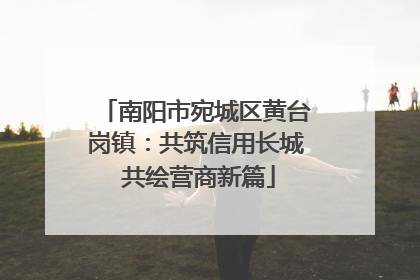 南阳市宛城区黄台岗镇：共筑信用长城 共绘营商新篇