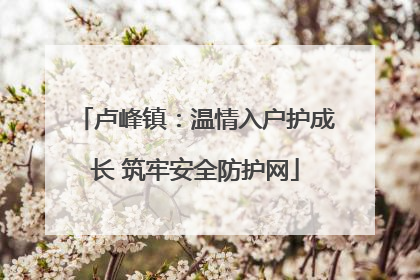 卢峰镇：温情入户护成长 筑牢安全防护网
