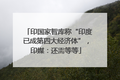 印国家智库称“印度已成第四大经济体”，印媒：还需等等