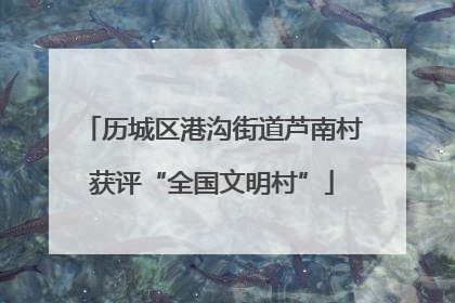历城区港沟街道芦南村获评“全国文明村”