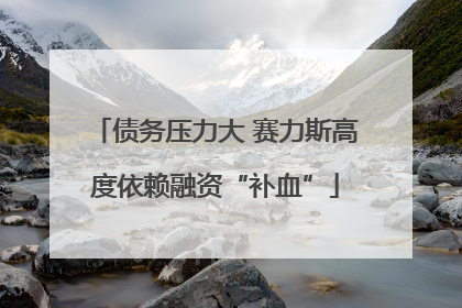 债务压力大 赛力斯高度依赖融资“补血”