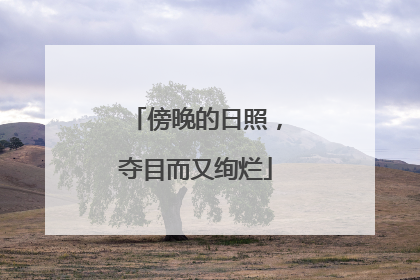 傍晚的日照，夺目而又绚烂