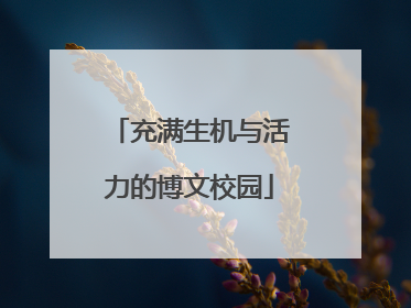 充满生机与活力的博文校园