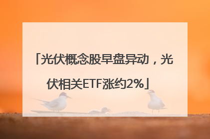 光伏概念股早盘异动，光伏相关ETF涨约2%