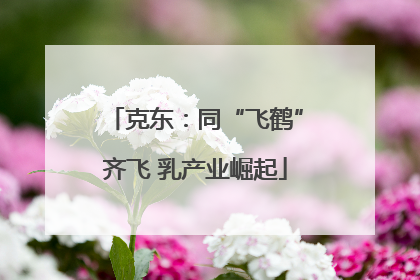 克东：同“飞鹤”齐飞 乳产业崛起