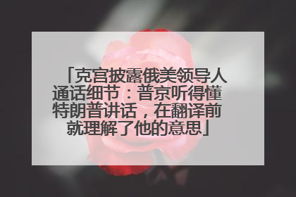 克宫披露俄美领导人通话细节：普京听得懂特朗普讲话，在翻译前就理解了他的意思