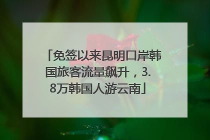 免签以来昆明口岸韩国旅客流量飙升，3.8万韩国人游云南
