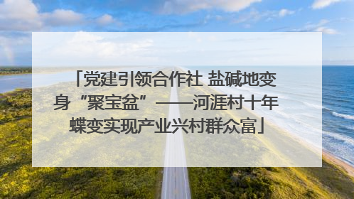 党建引领合作社 盐碱地变身“聚宝盆”——河涯村十年蝶变实现产业兴村群众富