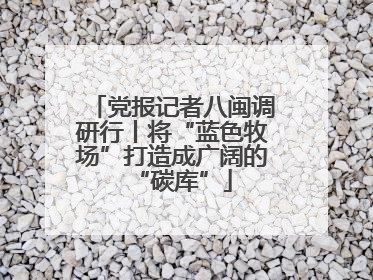 党报记者八闽调研行丨将“蓝色牧场”打造成广阔的“碳库”