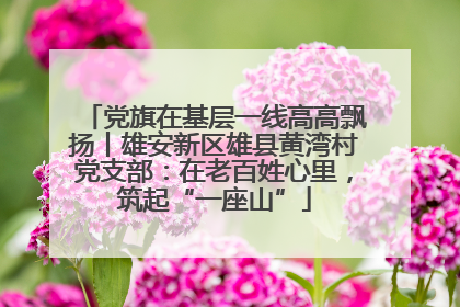 党旗在基层一线高高飘扬丨雄安新区雄县黄湾村党支部：在老百姓心里，筑起“一座山”
