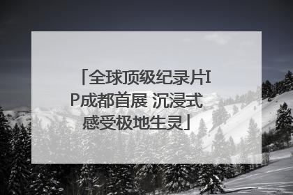 全球顶级纪录片IP成都首展 沉浸式感受极地生灵