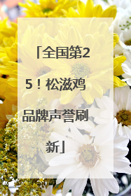 全国第25！松滋鸡品牌声誉刷新