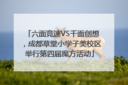 六面竞速VS千面创想，成都草堂小学子美校区举行第四届魔方活动