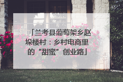 兰考县葡萄架乡赵垛楼村：乡村电商里的“甜蜜”创业路