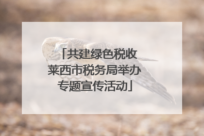 共建绿色税收 莱西市税务局举办专题宣传活动